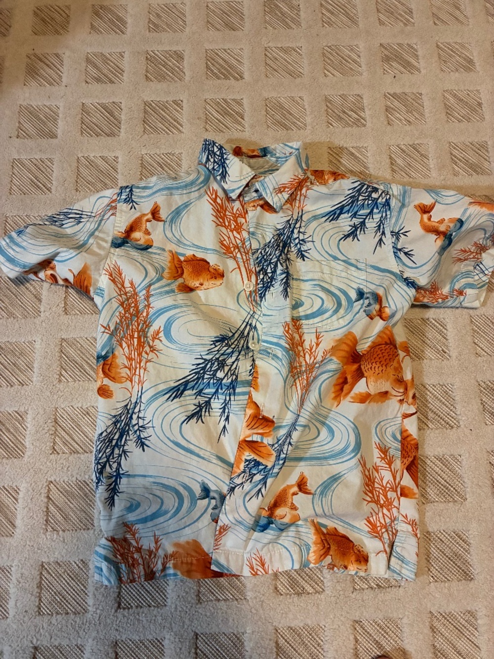 Kahala. Koi fish boys 6-7 small